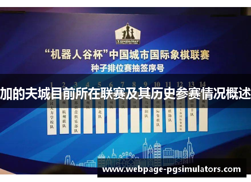 加的夫城目前所在联赛及其历史参赛情况概述