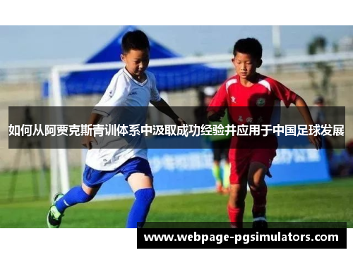 如何从阿贾克斯青训体系中汲取成功经验并应用于中国足球发展